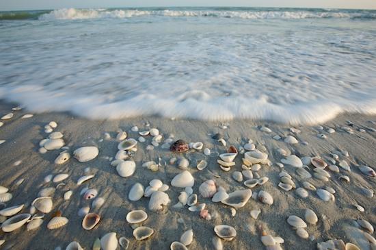 Beach;Beaches;blue;brown;Bubbles;Florida;Foam;gray;grey;Ocean;pink;purple;red;Sand;Sanibel Captiva Island;Sea;sea shells;Shore;Shoreline;Tide;Water;Waves;white;yellow;Seascape